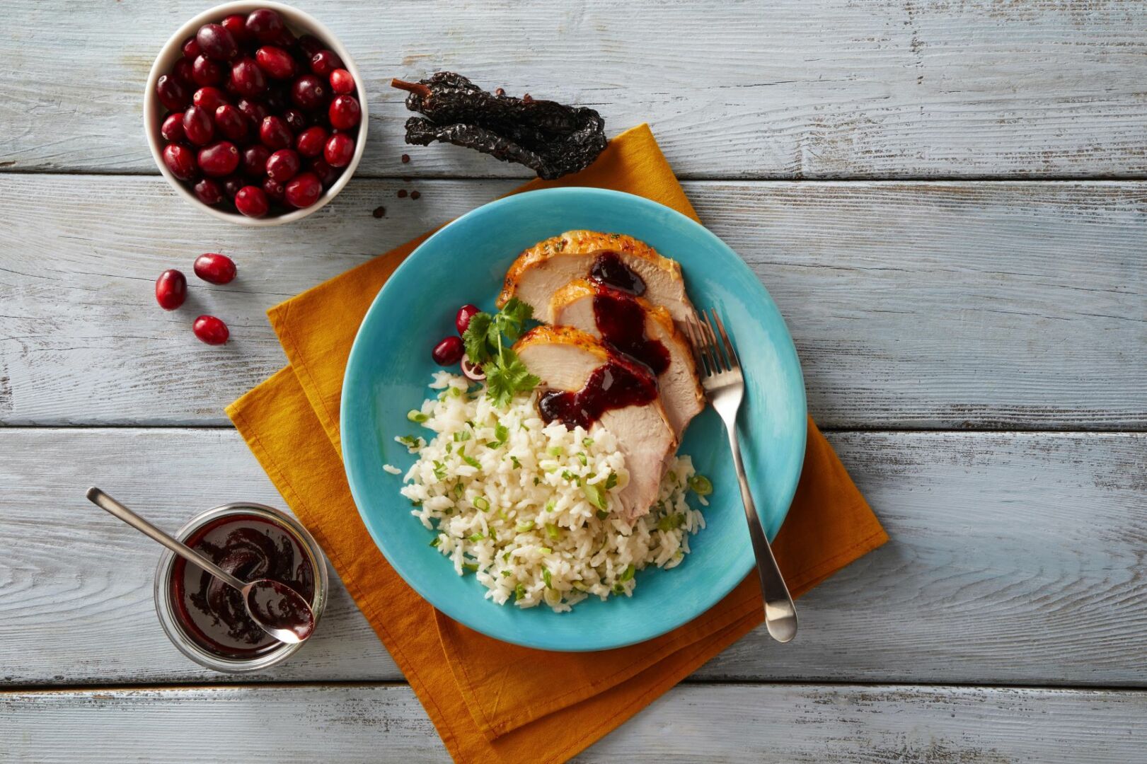 Turkey and Rice with Cranberry-Ancho Sauce